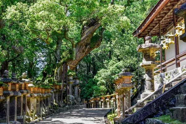 Kasuga Taisha shrine