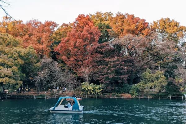 Kichijoji & Inokashira Park