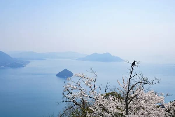 Mount Misen (Miyajima)