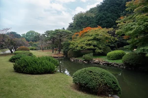 Shinjuku Gyoen National Garden