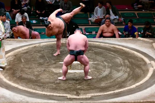 Sumo Wrestling Experience