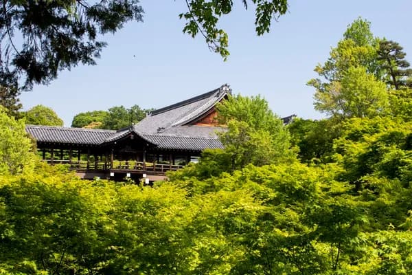 Tofuku-ji Temple — Autumn Foliage