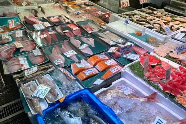 Toyosu Fish Market — Tuna Auction